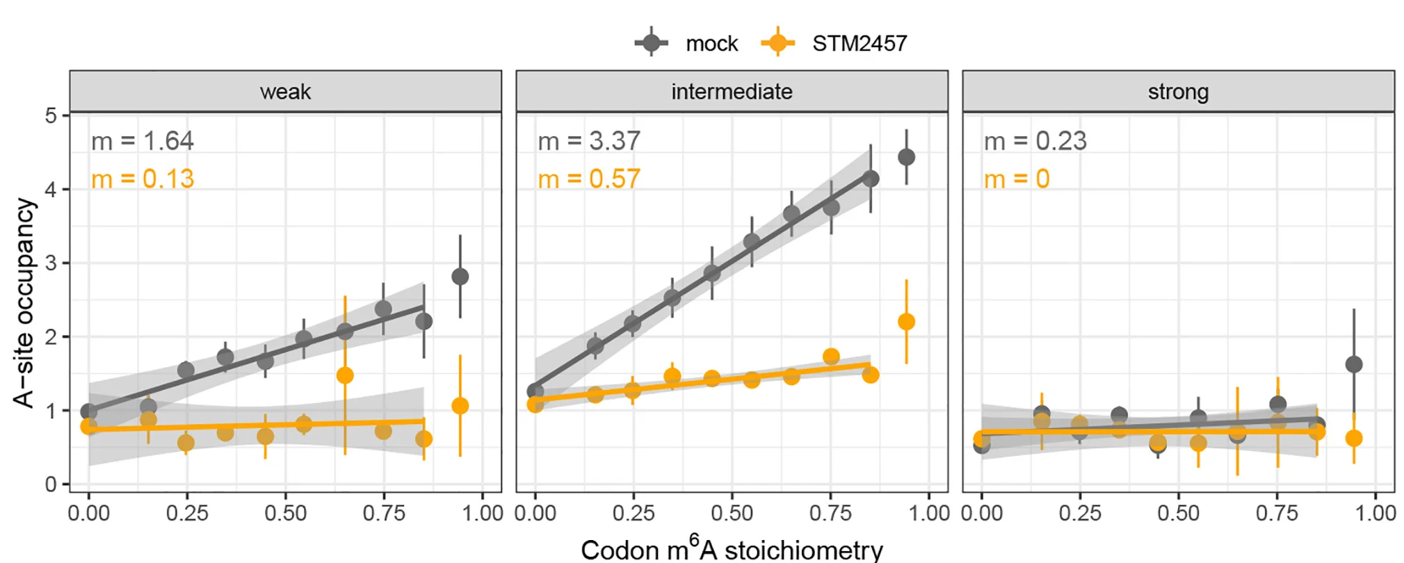Open access visualization of Scatter Plot, Regression Plot, Error Bars, Ribosomal A-site, Codons