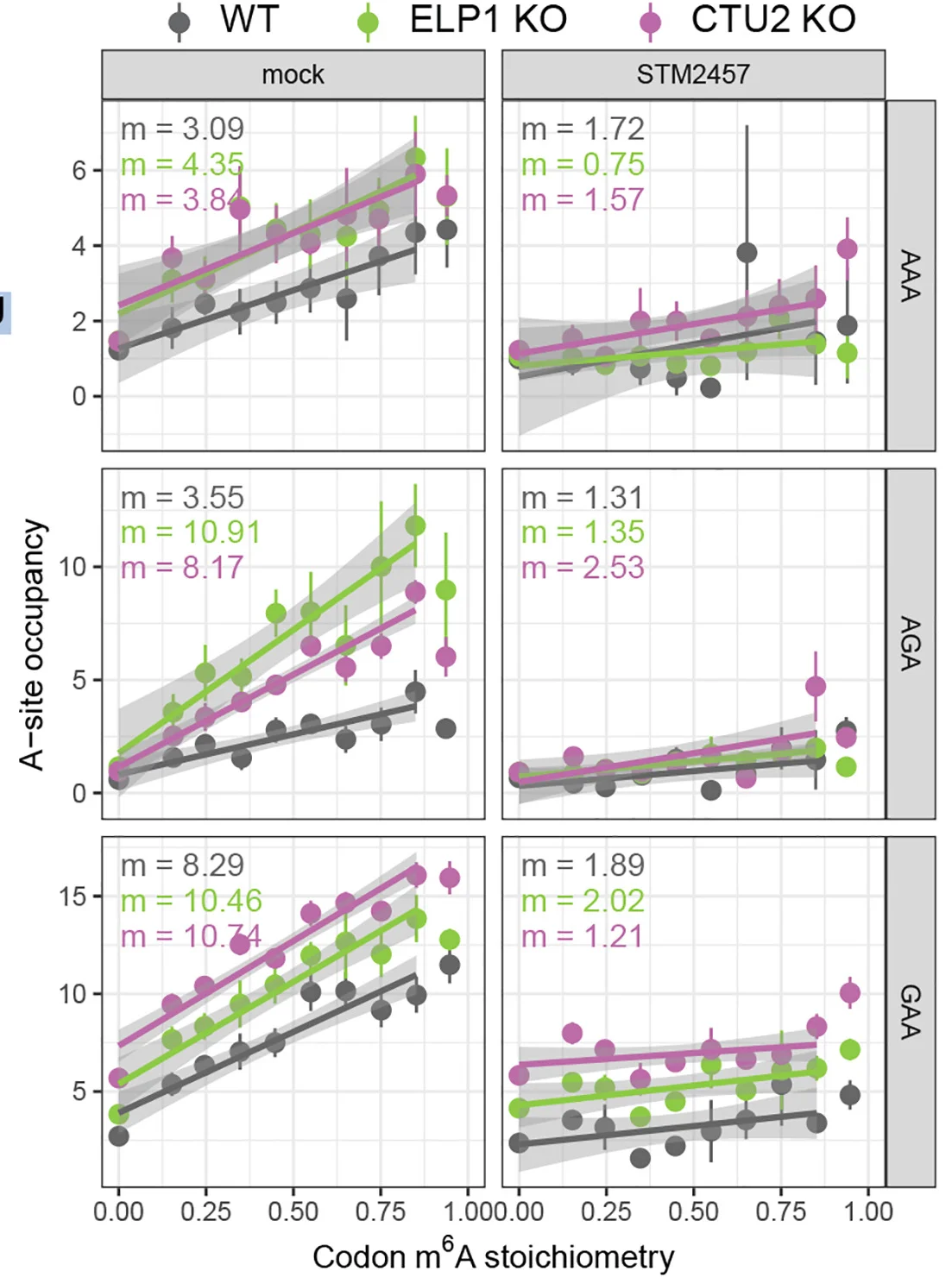 Open access visualization of Scatter Plot, Regression Plot, Error Bars, Ribosomal A-site Occupancy, Codons