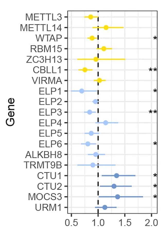 Open access visualization of Scatter Plot, Error Bars, Cox Proportional Hazards Analysis, m6A, mcm5s2U