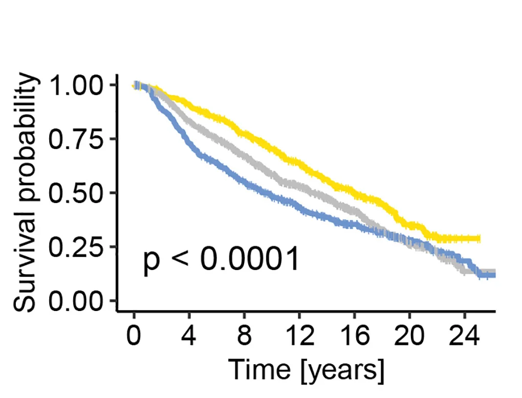Open access visualization of Survival Curve, Error Bars, Line Plot, Pan-Epitranscriptomic Gene Expression Signature, mcm5s2U