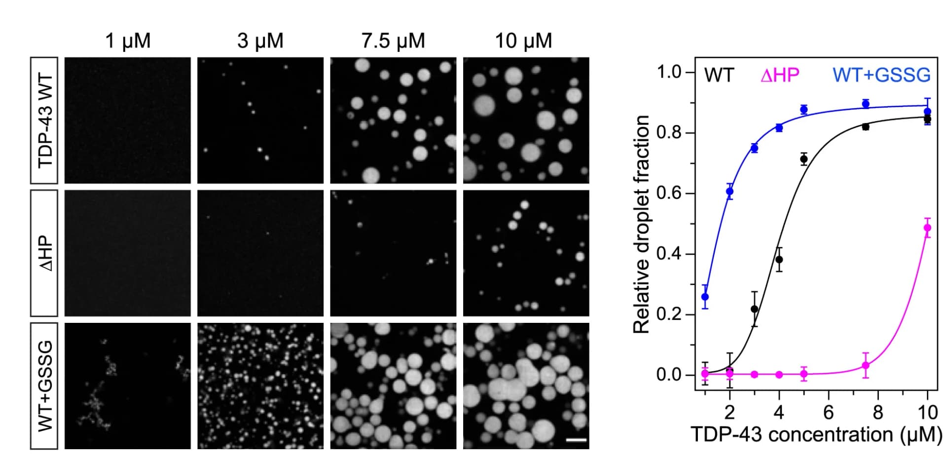 Open access visualization of Line Plot, Error Bars, Microscopy, Photo, HP Interactions