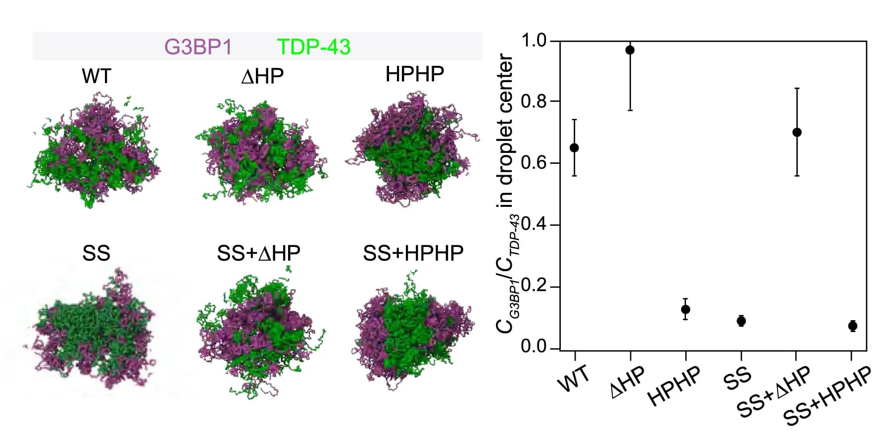 Open access visualization of Line Plot, Error Bars, TDP-43, G3BP1, Droplets
