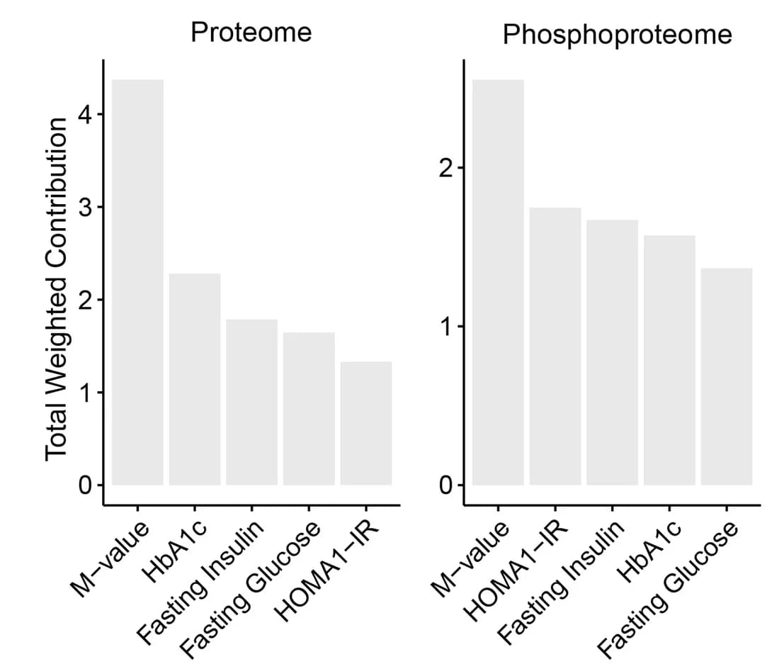 Open access visualization of Bar Plot, Glycemic Features, Principal Components, Proteome, Phosphoproteome