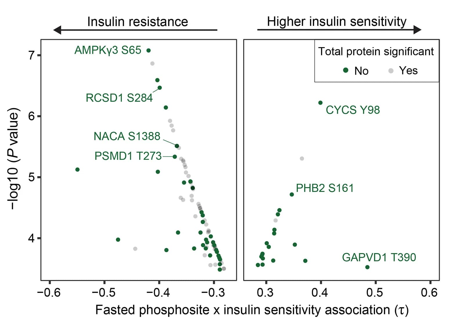 Open access visualization of Scatter Plot, Volcano Plot, Correlation Coefficient, Phosphosite, Fasted State