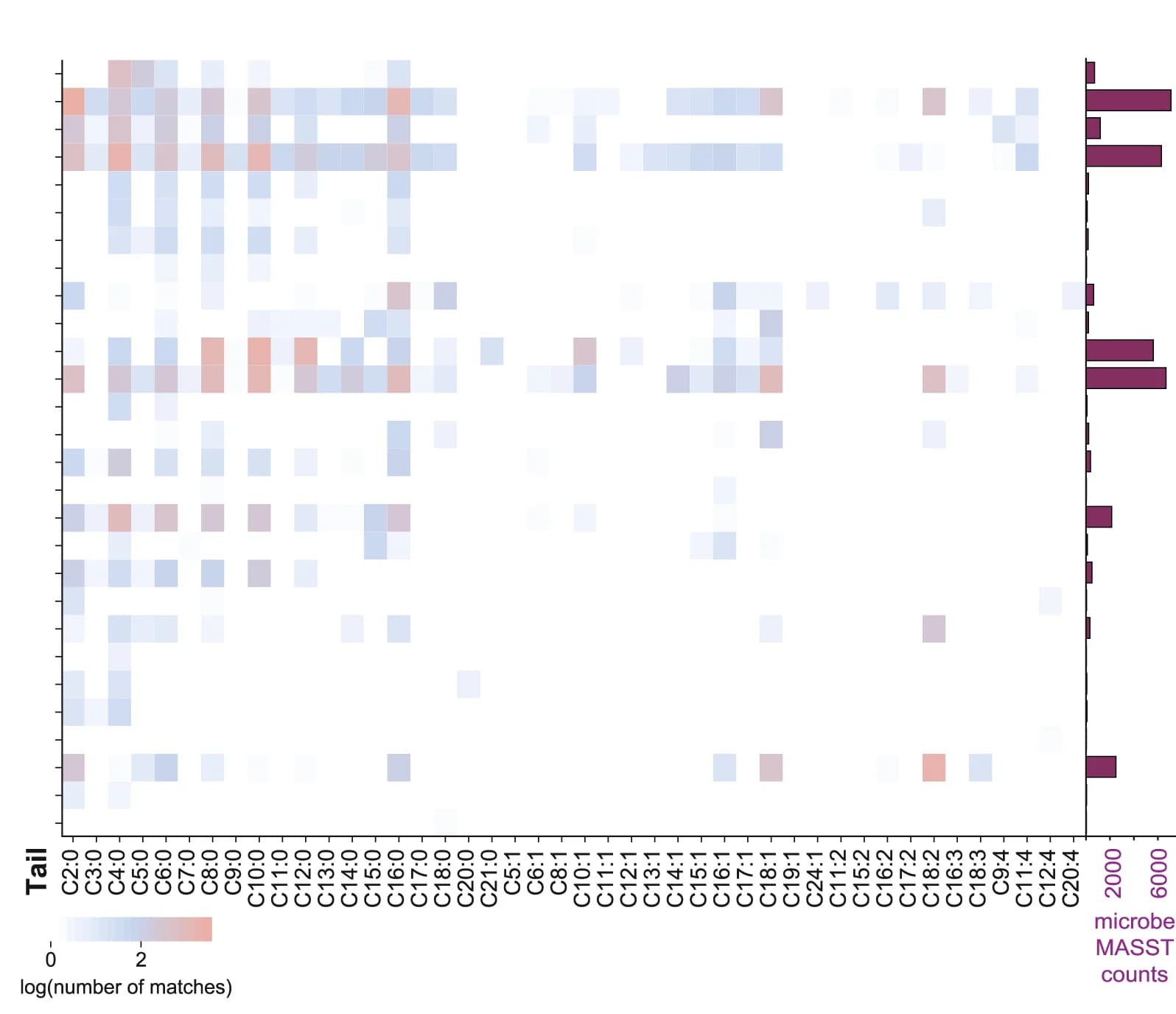 Open access visualization of Heatmap, Bar Plot, Heatmaps, Tails, Microbial Classes