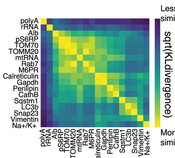 Open access visualization of Heatmap, Subcellular Morphology, KL Divergence
