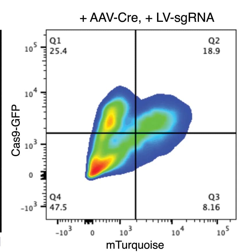Open access visualization of Scatter Plot, Density Plot, Flow Cytometry, PFA, Lentivirus
