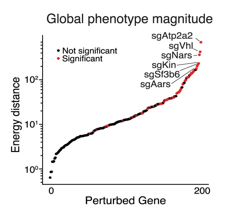 Open access visualization of Scatter Plot, Knockouts, Energy Distance, sgRNA, Perturb-seq