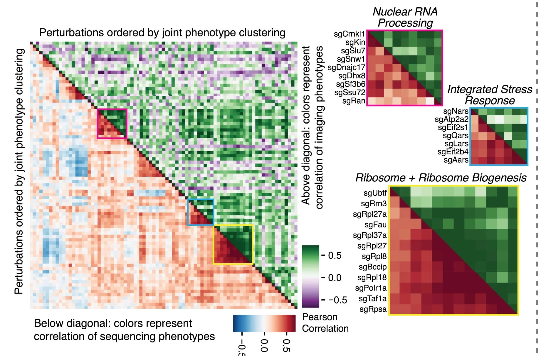 Open access visualization of Heatmap, Clustered, Perturbation-Perturbation Correlation, RNA Changes, Protein Changes