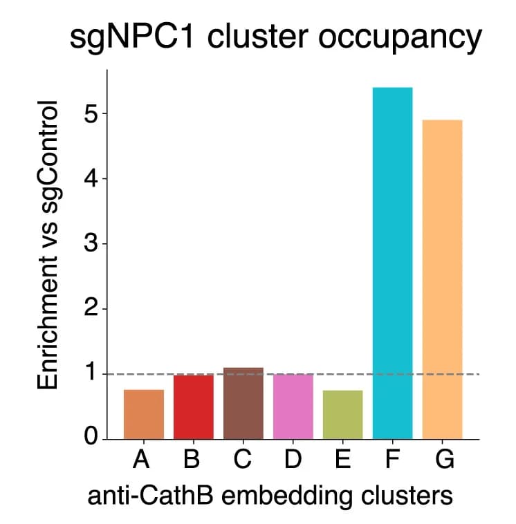 Open access visualization of Bar Plot, Enrichment, Clusters, Npc1 Knockout Cells, Control sgRNA