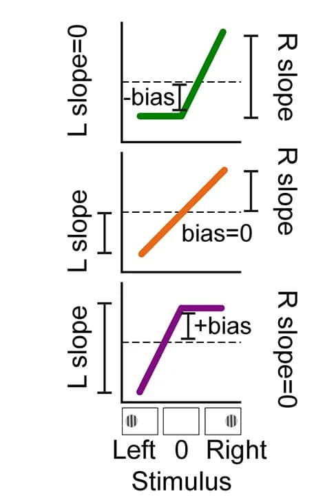 Open access visualization of Line Plot, Behavioral Metrics, Stimulus, Bias, Choice Probability