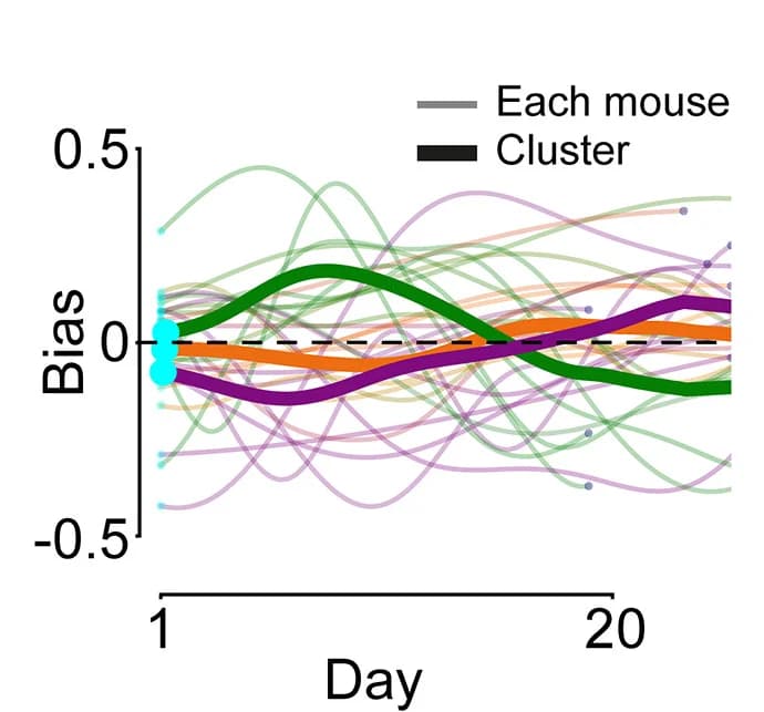 Open access visualization of Line Plot, Bias, Mice, Clusters, Right-Associating Mice