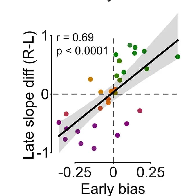 Open access visualization of Scatter Plot, Regression Plot, Regression, Bias, Slope Difference