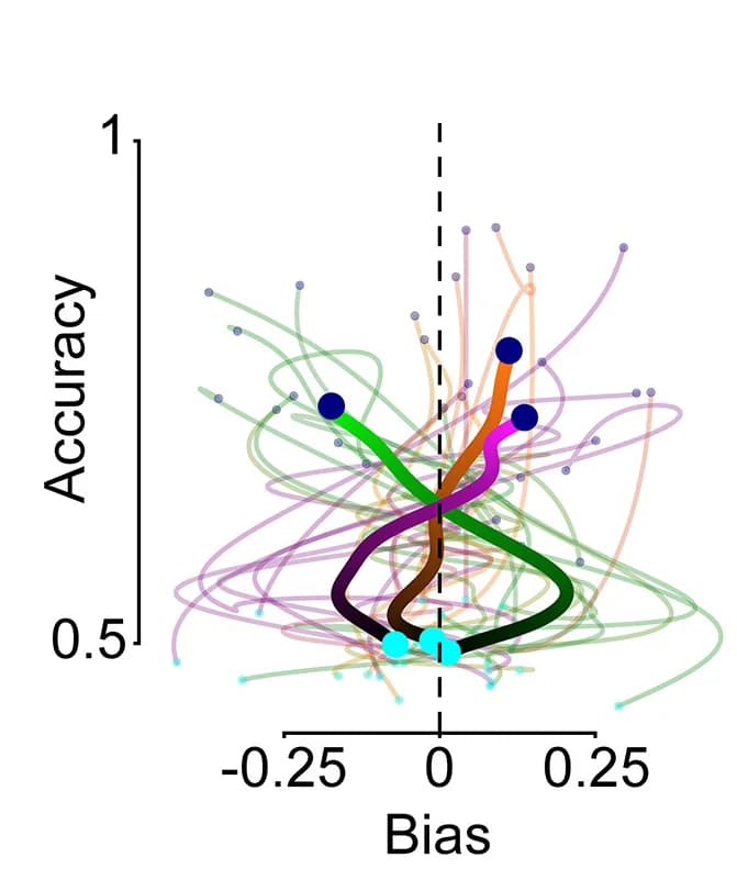 Open access visualization of Line Plot, Slope, Bias, Accuracy, Mice