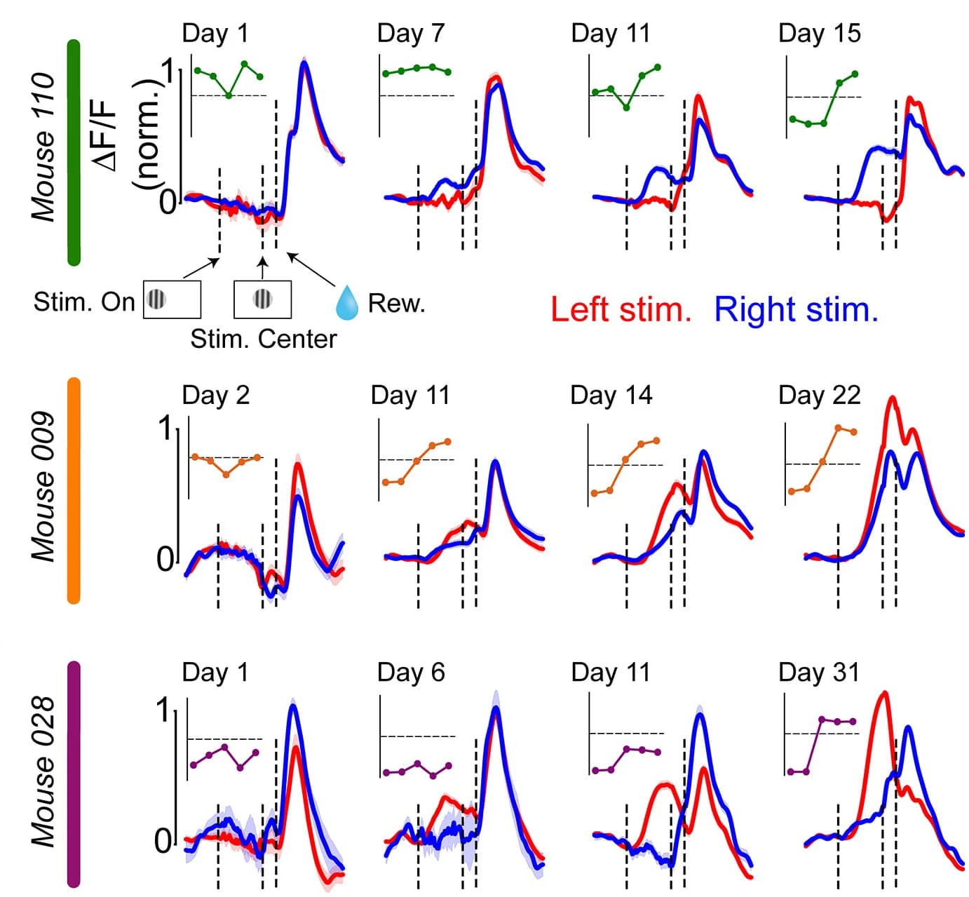 Open access visualization of Line Plot, Line Step, DLS, DA Signals, Stimulus