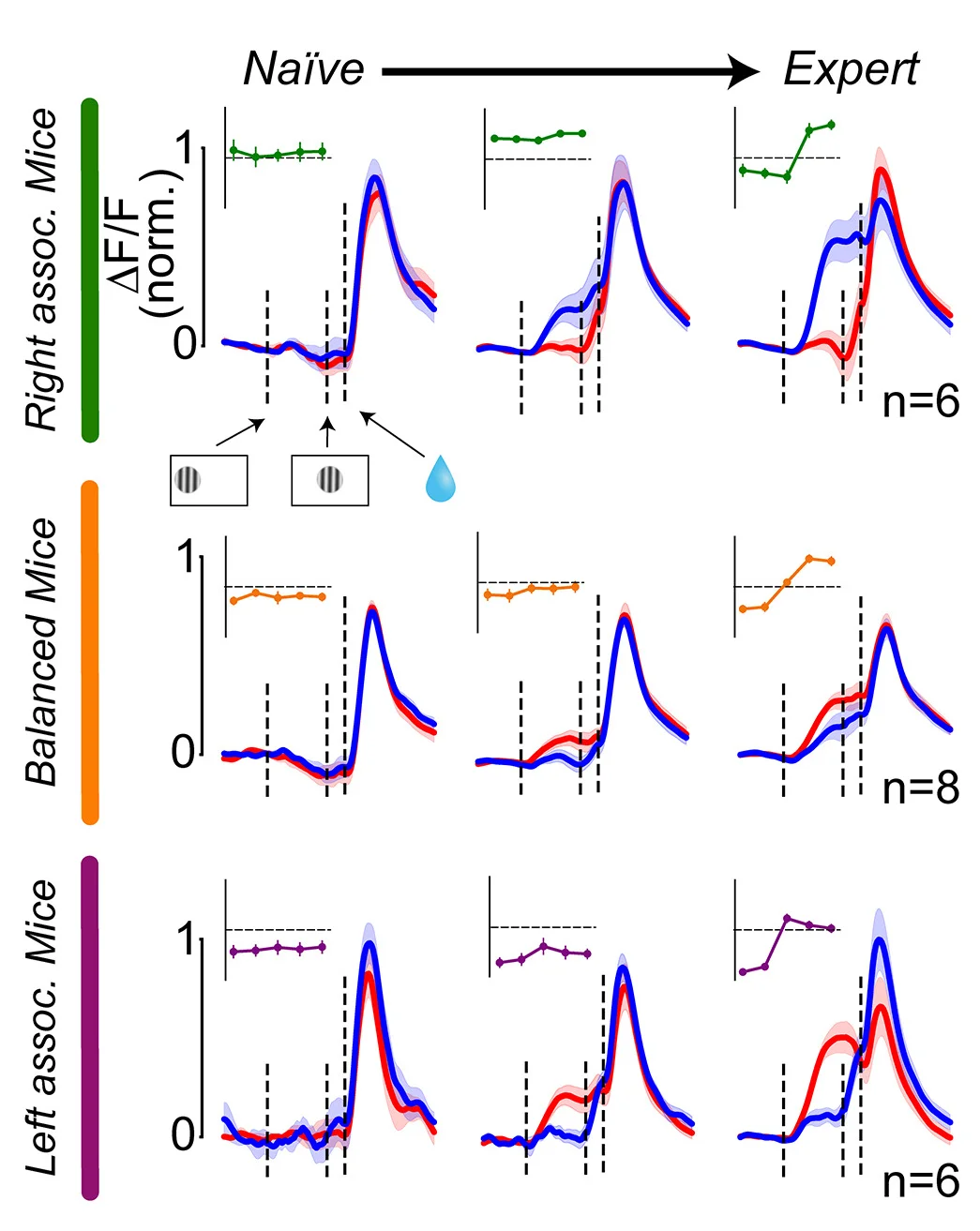 Open access visualization of Line Plot, Error Bars, Line Step, DLS, DA Signals