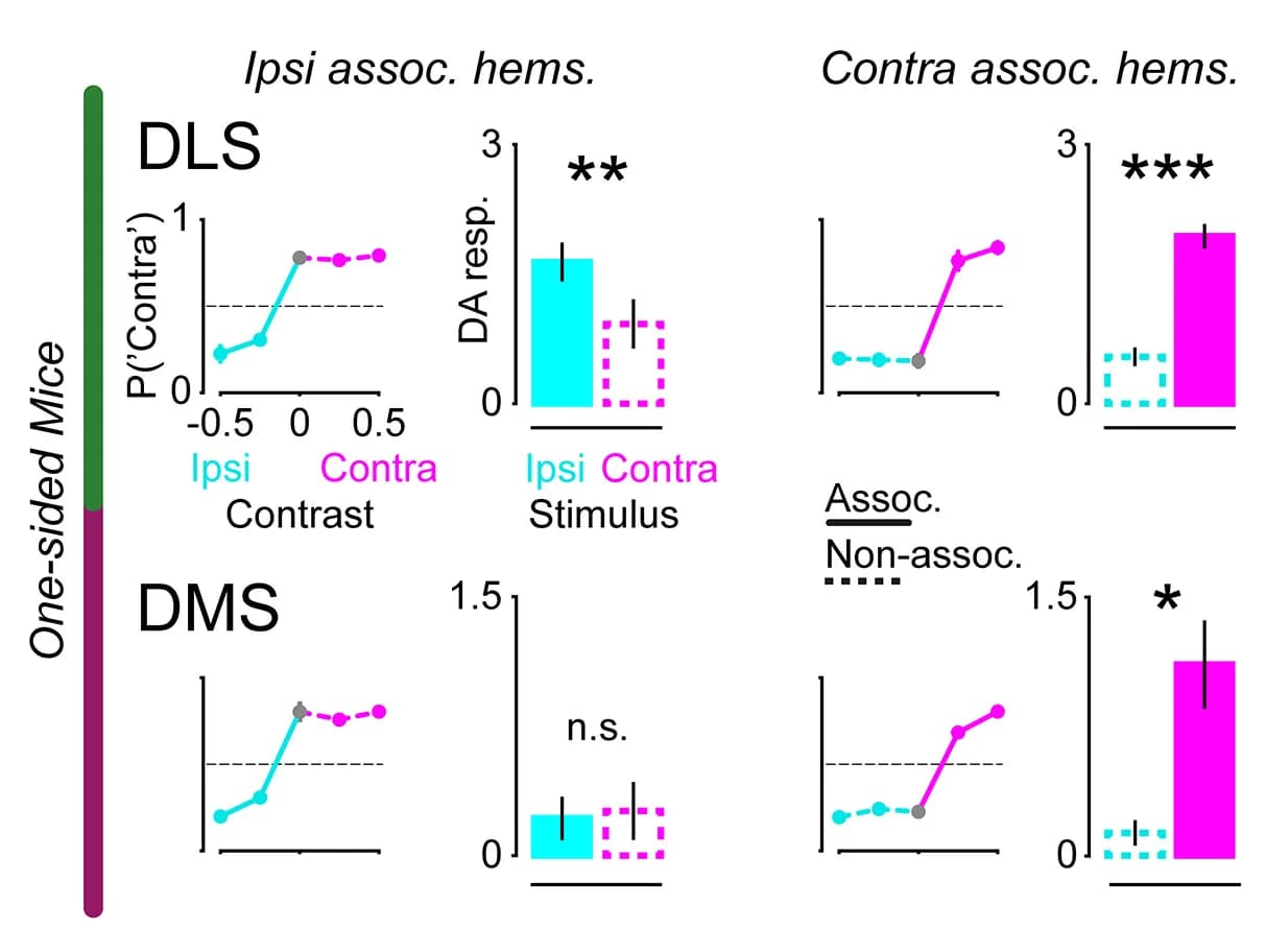 Open access visualization of Bar Plot, Line Plot, Error Bars, Accuracy, DLS