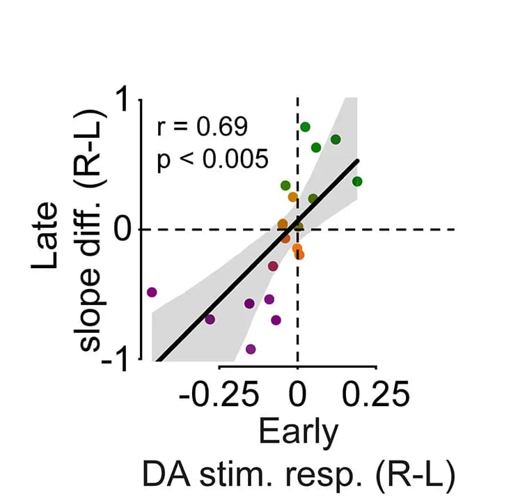 Open access visualization of Scatter Plot, Regression Plot, DLS DA Responses, Stimuli, Mice