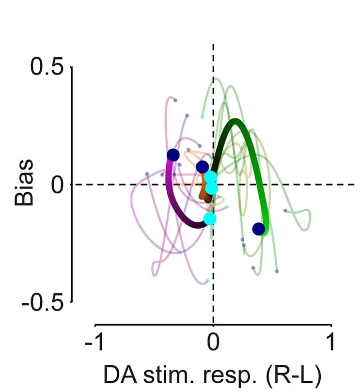 Open access visualization of Line Plot, DLS DA Responses, Stimuli, Bias, Mice