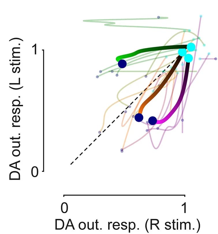 Open access visualization of Line Plot, Scatter Plot, DLS DA Responses, Rewarded Outcome, Stimulus Trials