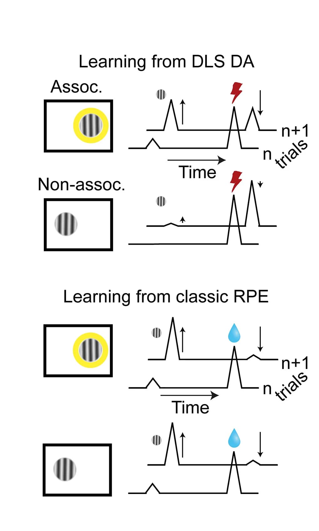 Open access visualization of Line Plot, Illustration, Schematic, Learning Effect, DLS DA