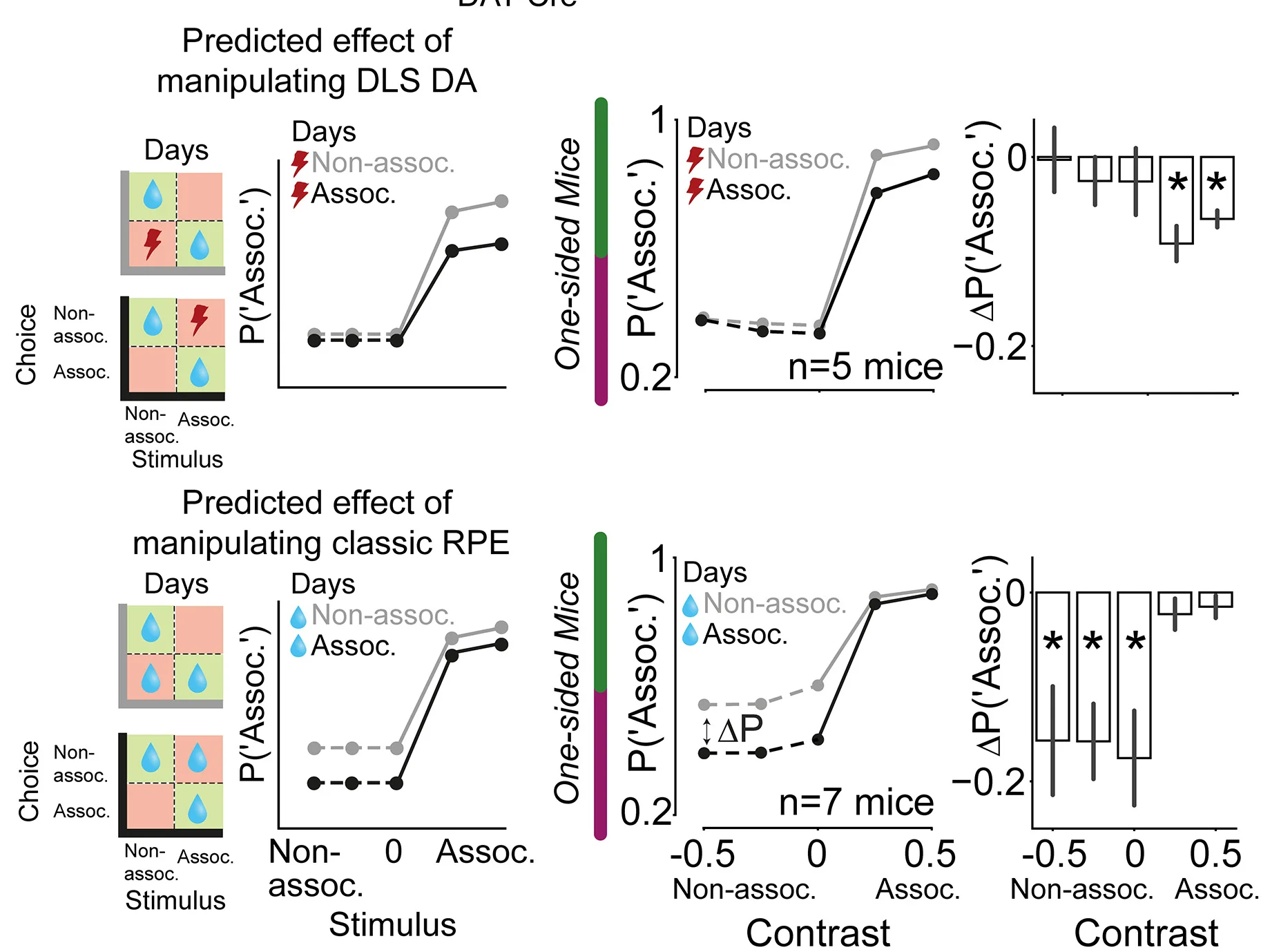 Open access visualization of Line Plot, Error Bars, Bar Plot, DLS DA Stimulation, RPE