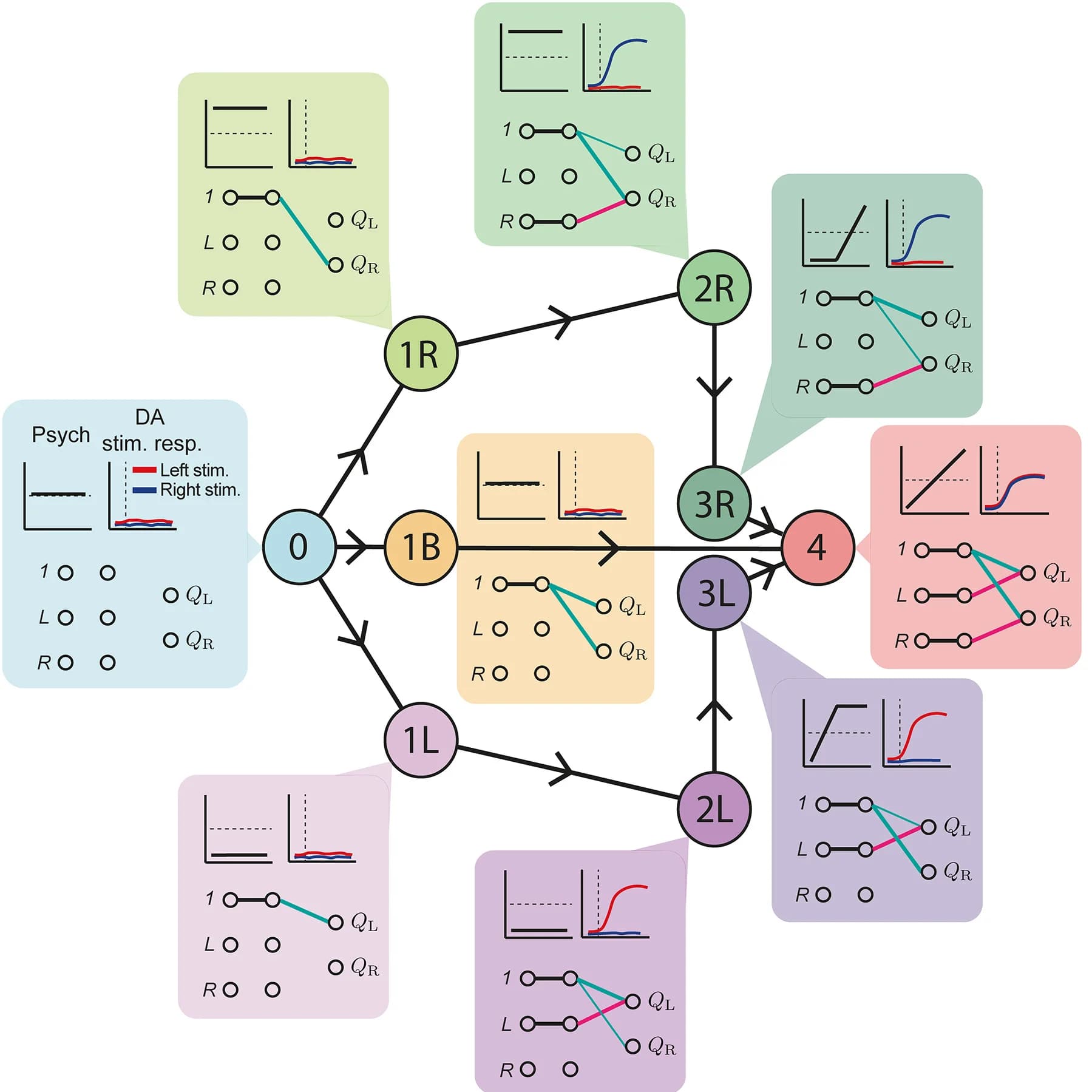 Open access visualization of Pathway, Line Plot, Fixed Point Structure, Behavioral Predictions, Neural Predictions