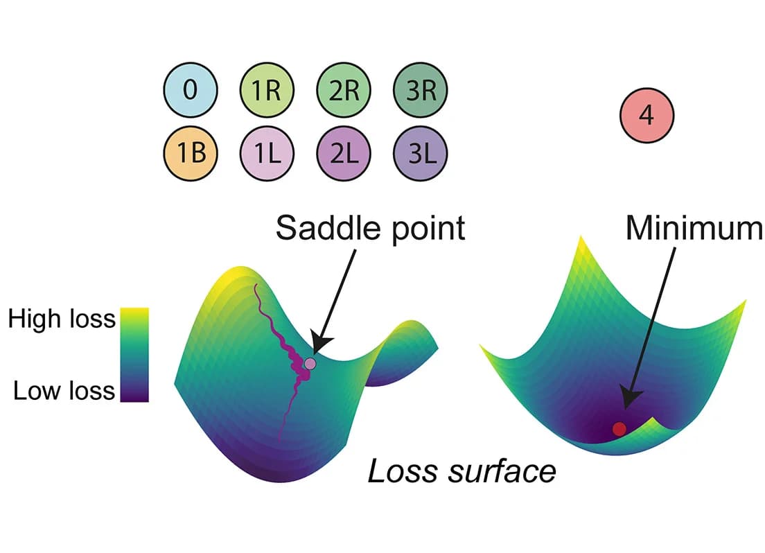 Open access visualization of 3D Plot, Loss Surface, Saddle Point, Minimum, Model Fixed Point