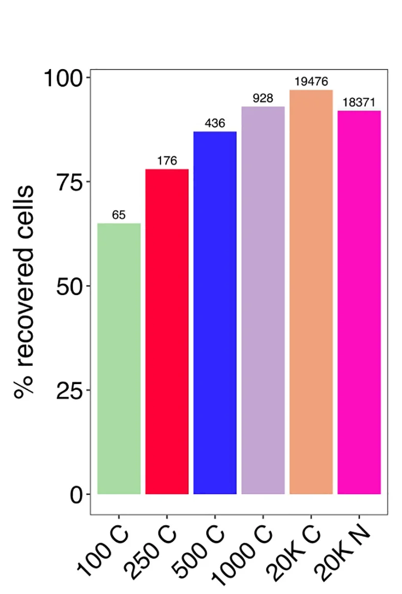 Open access visualization of Bar Plot, Cells, Sub-STAMPS, Cell Counts