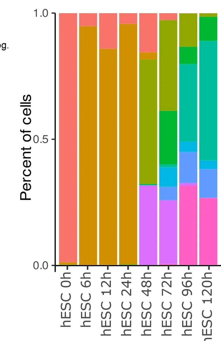 Open access visualization of Stacked Bar Plot, Cell States, Time Point, Proportions, Cellular Composition