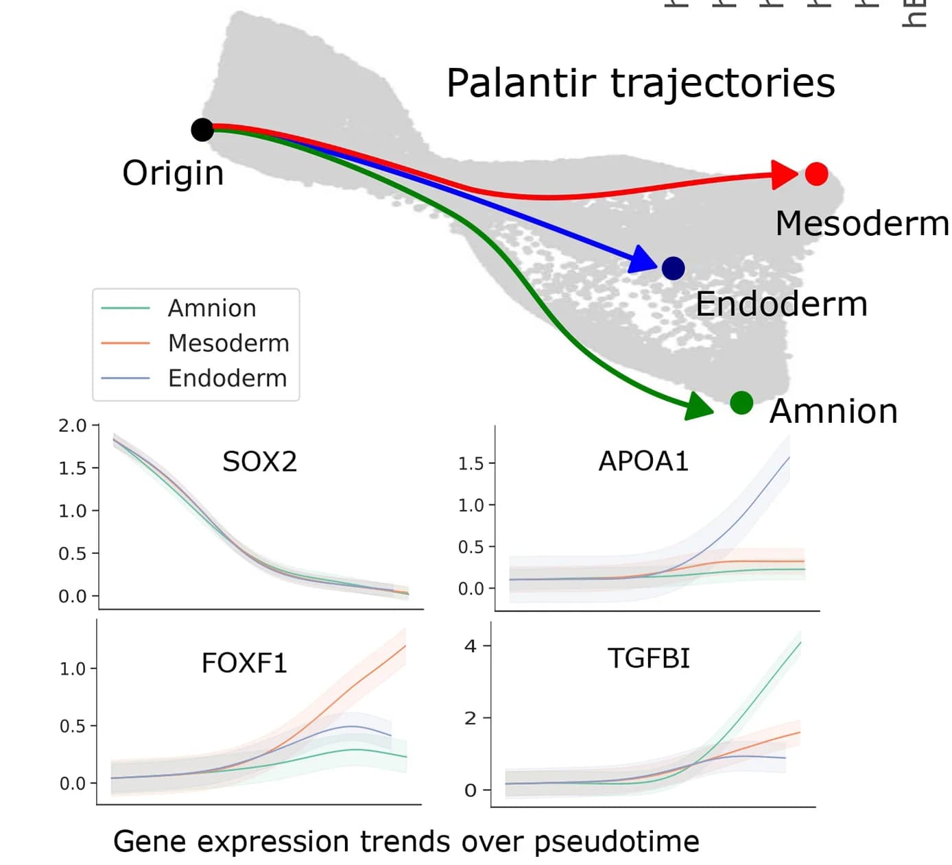 Open access visualization of Line Plot, Scatter Plot, Error Bars, Differentiation Trajectories, Amnion