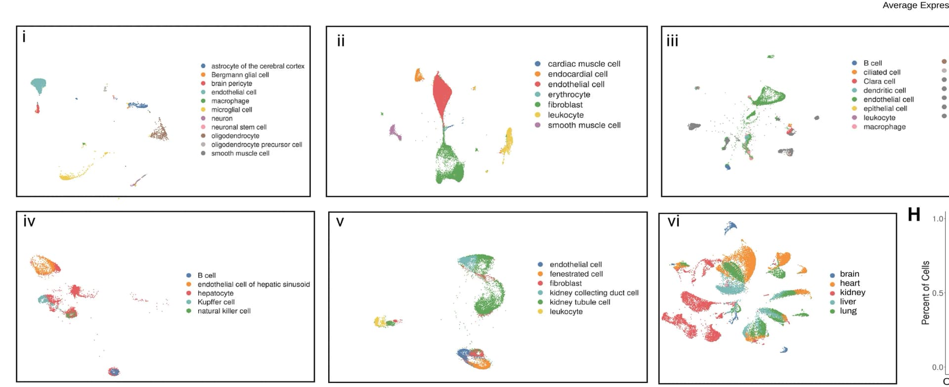 Open access visualization of Scatter Plot, Bar Plot, UMAP, Cell Clusters, Mouse Tissues