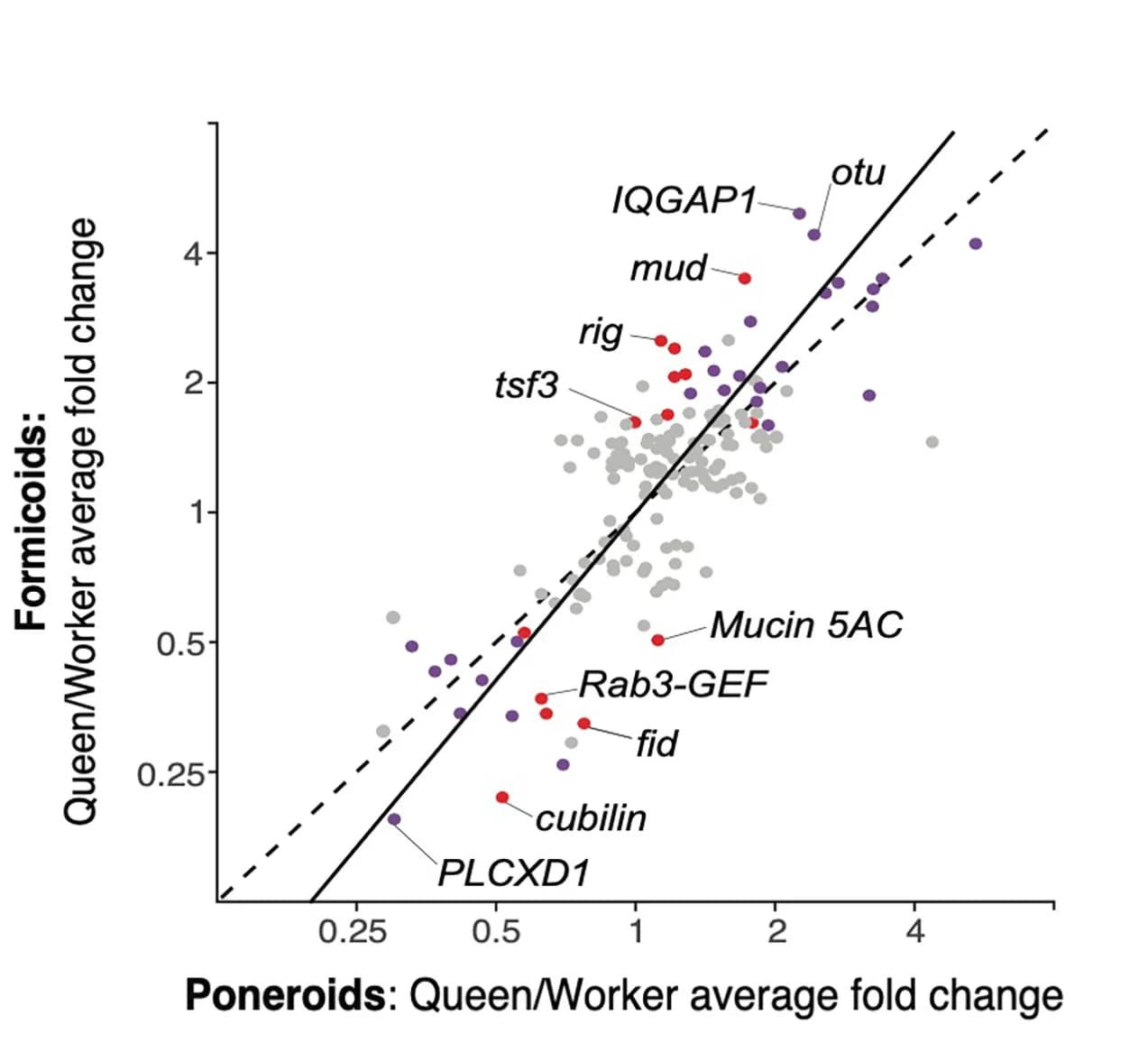 Open access visualization of Scatter Plot, Regression Plot, Volcano Plot, Queen-Worker Expression Bias, Positively Selected Genes