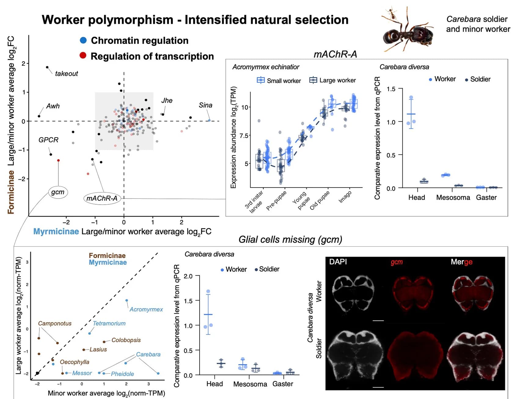Open access visualization of Scatter Plot, Line Plot, Error Bars, Box Plot, Photo