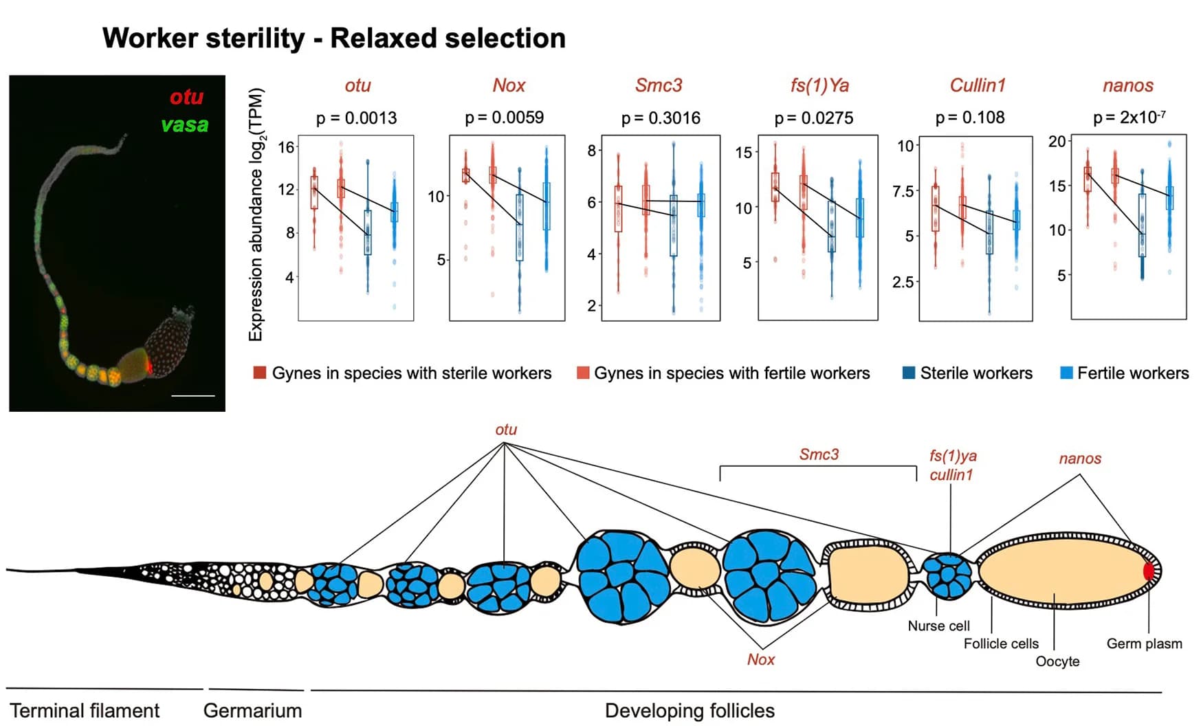 Open access visualization of Box Plot, Microscopy, Illustration, Scatter Plot, Line Plot