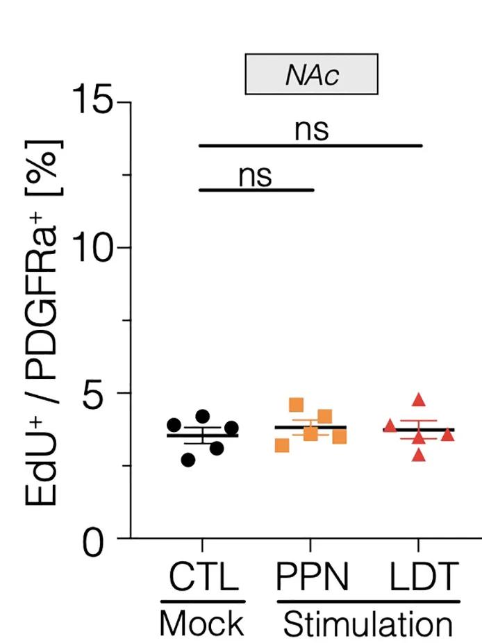 Open access visualization of Scatter Plot, Error Bars, OPC Response, Prefrontal Cortex, Ventral Tegmental Area