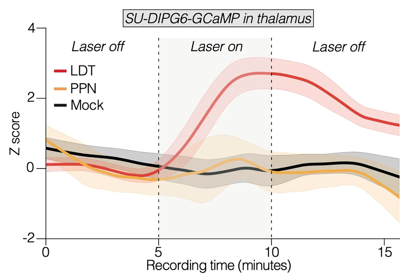 Open access visualization of Line Plot, Error Bars, Fiber Photometry, GCaMP Calcium Transients, Thalamic Glioma Cells