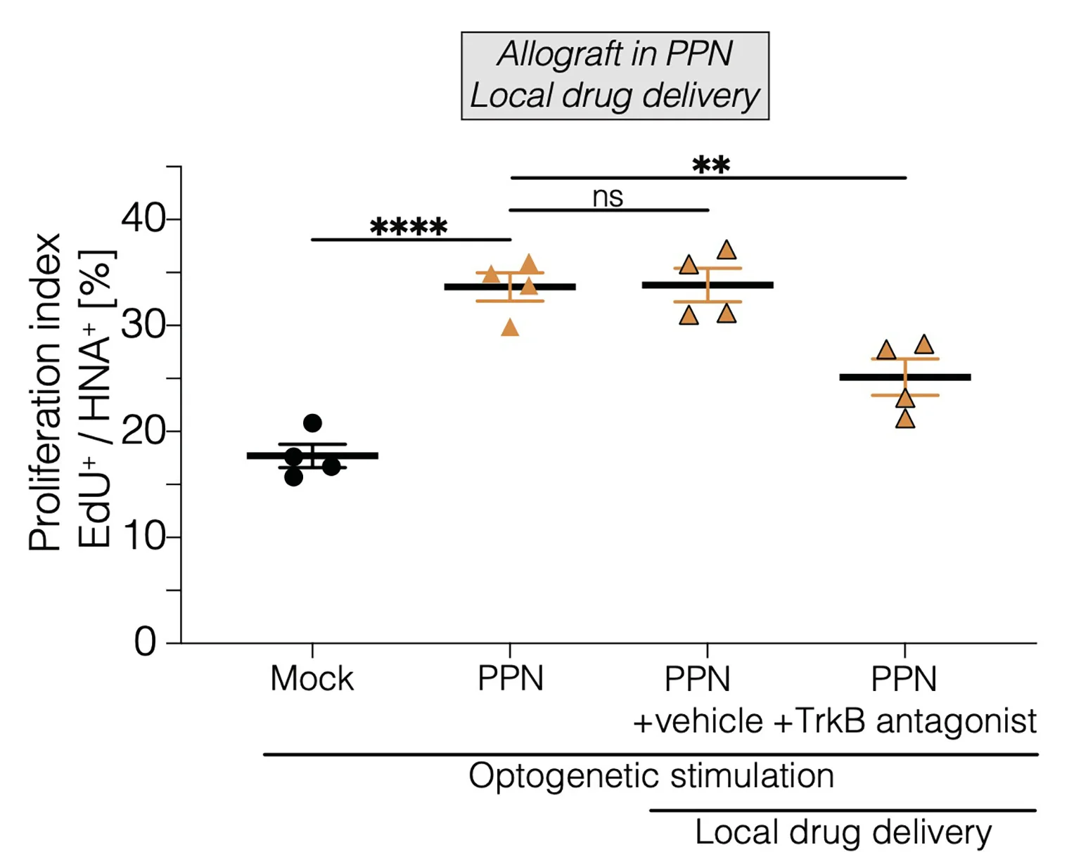 Open access visualization of Scatter Plot, Error Bars, Proliferation Index, DMG Allografts, PPN