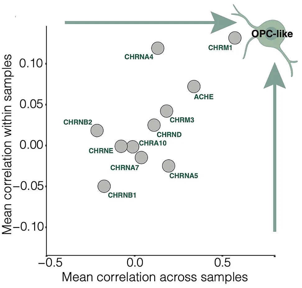 Open access visualization of Scatter Plot, Cholinergic Receptor Gene Expression, OPC-like Score, DMG Samples