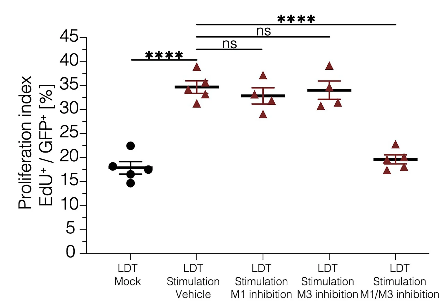 Open access visualization of Scatter Plot, Proliferation Index, EdU+/GFP+, Thalamic Allografts, Optogenetic Stimulation