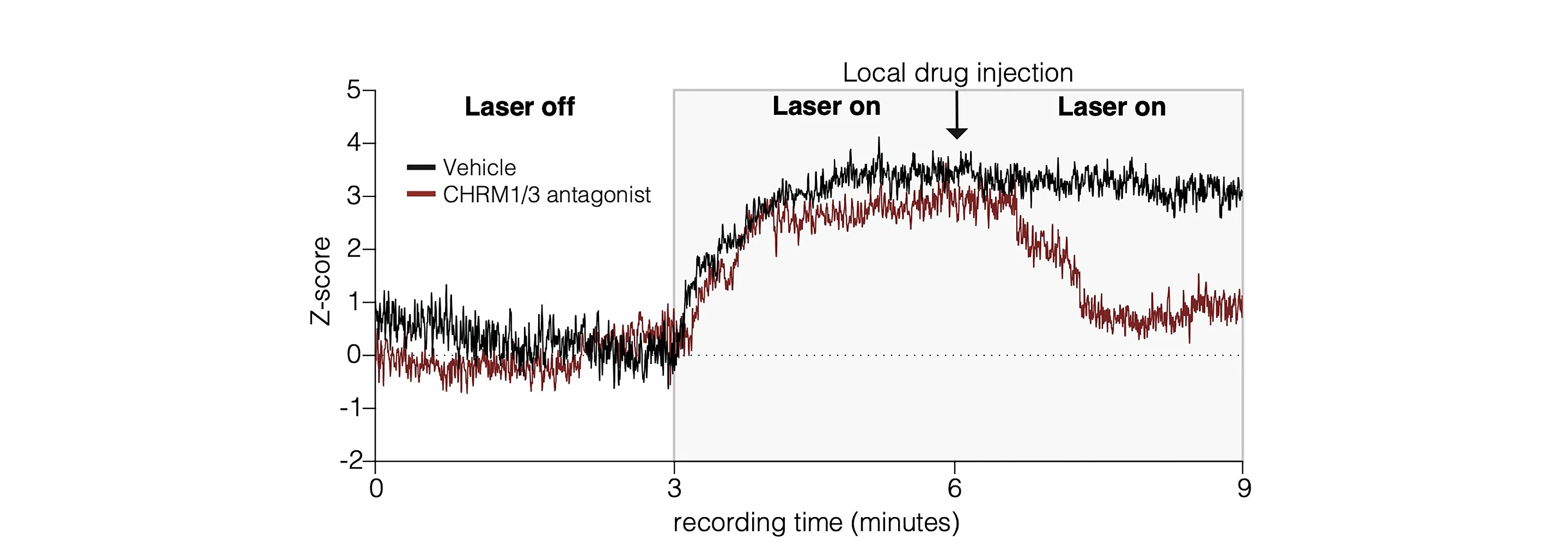 Open access visualization of Line Plot, Fiber Photometry Recordings, GCaMP-Labeled Calcium Transients, Thalamic Glioma Cells, LDT Stimulation