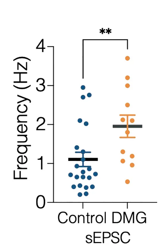 Open access visualization of Scatter Plot, Error Bars, sEPSCs, Cholinergic Neurons, LDT