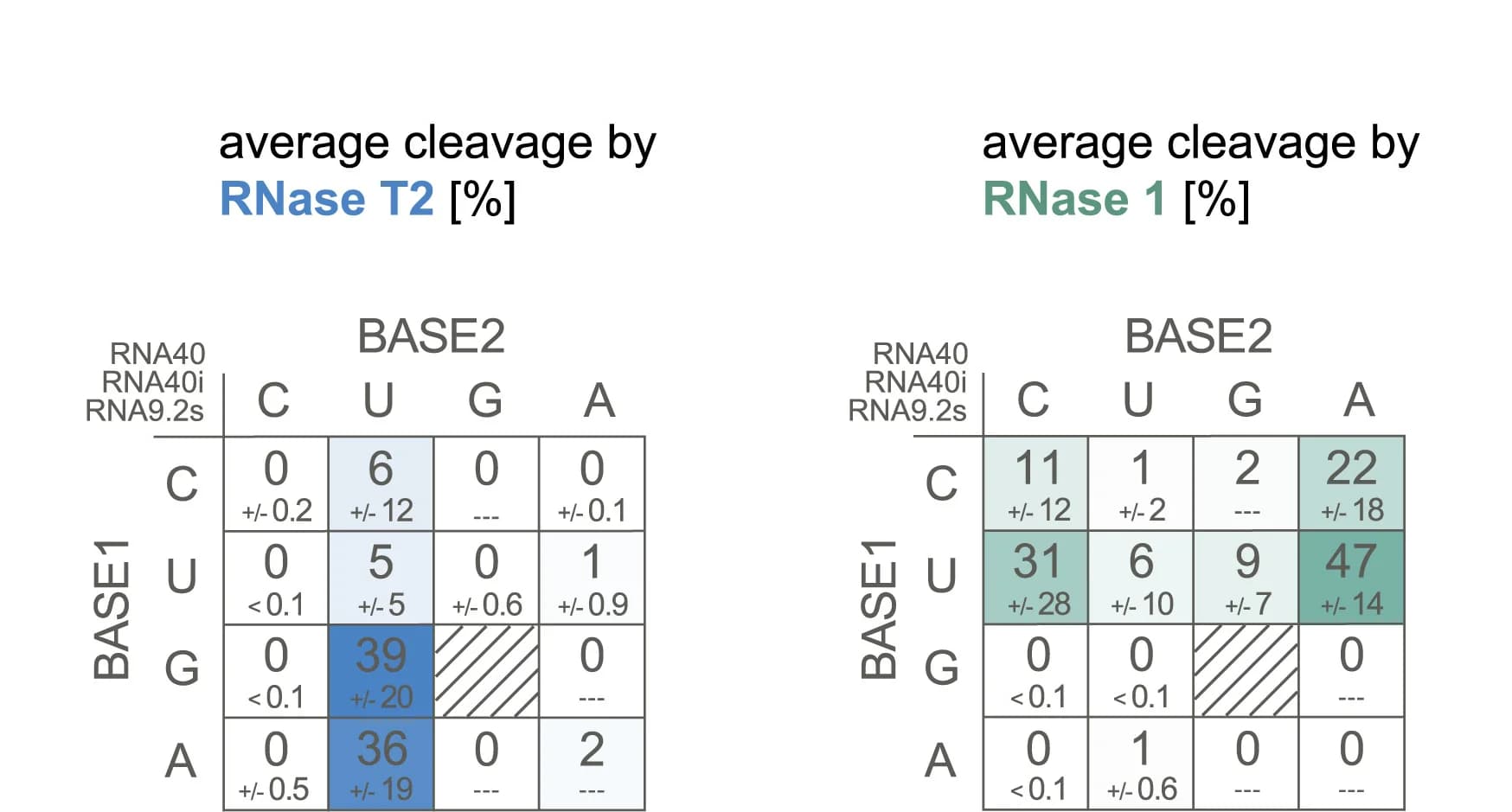 Open access visualization of Heatmap, Cleavage Percentages, Dinucleotide Motifs, RNA40, RNA40i