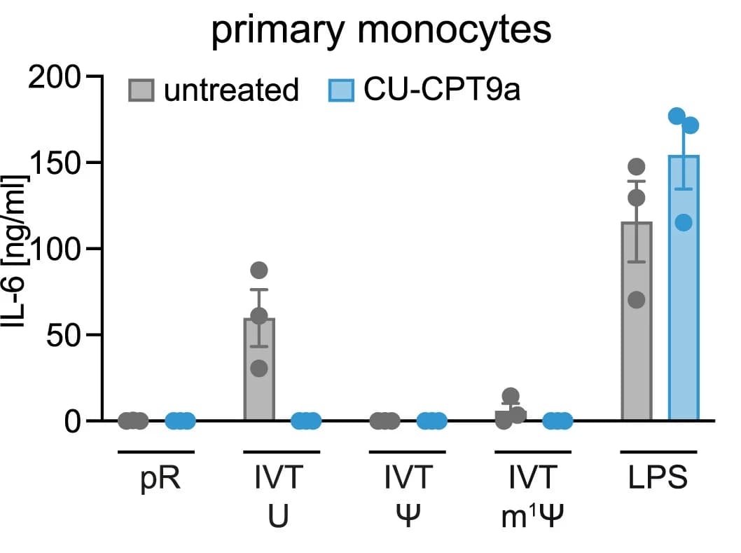 Open access visualization of Bar Plot, Error Bars, Scatter Plot, Clustered, IL-6