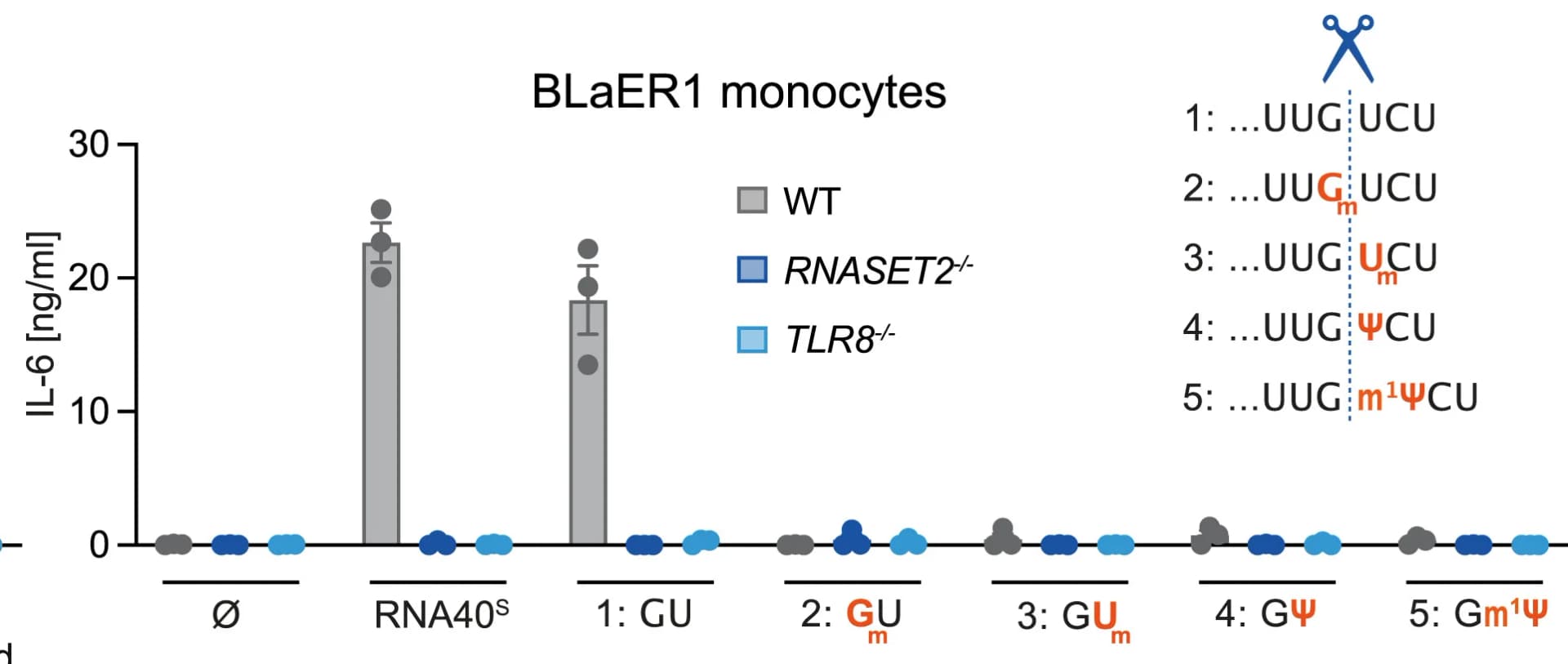 Open access visualization of Bar Plot, Error Bars, IL-6, BLaER1 Monocytes