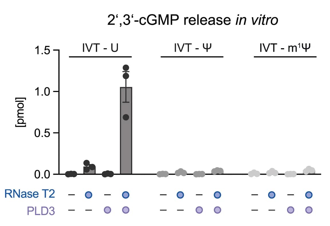 Open access visualization of Bar Plot, Error Bars, Scatter Plot, IVT-U, IVT-Psi
