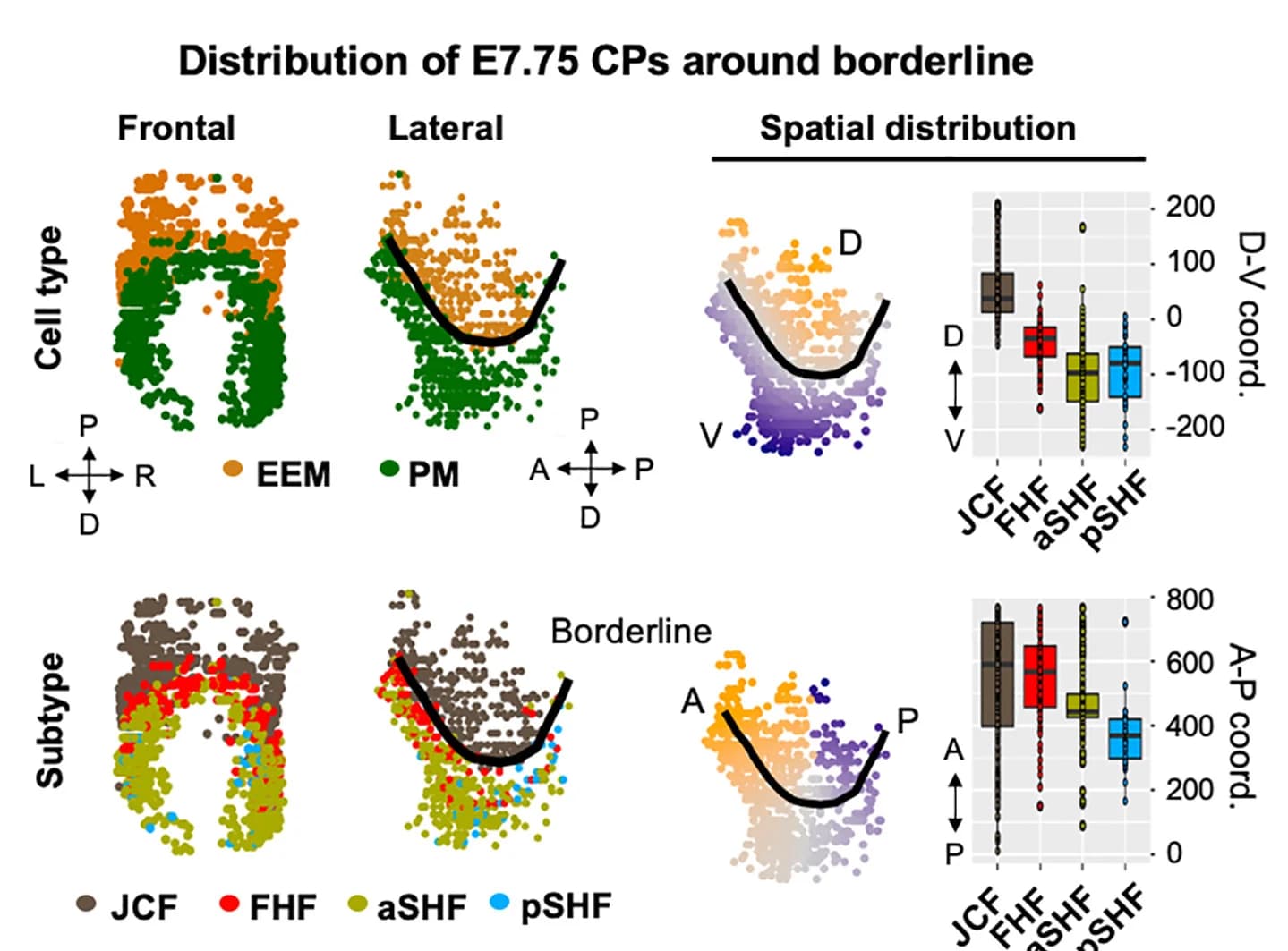 Open access visualization of Scatter Plot, Box Plot, Spatial Distribution, CPs, Digital Embryos