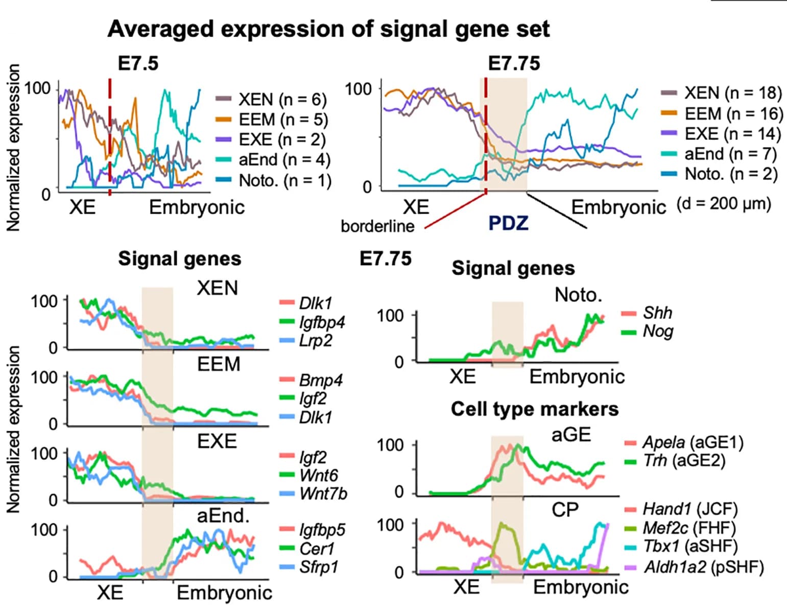 Open access visualization of Line Plot, PDZ, E7.75, Anterior Embryonic-Extraembryonic Interface, Signal Genes