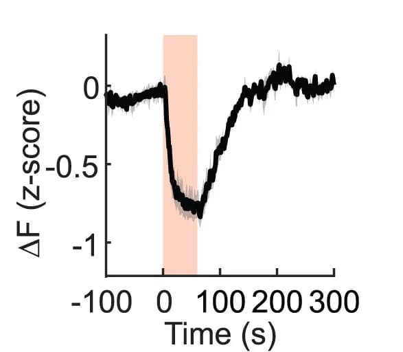 Open access visualization of Line Plot, Error Bars, Calcium Activity, GHRH Neurons, Optogenetic Activation
