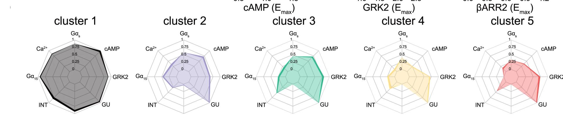 Open access visualization of Radar Chart, Radar Plots, Efficacy Profiles, Isoprenaline, Gs